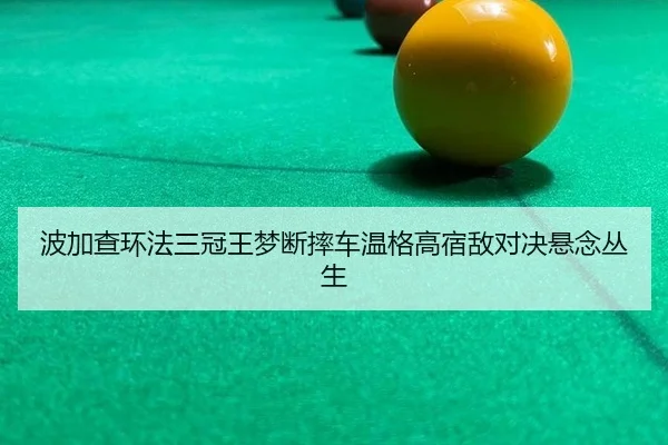bo-jia-cha-huan-fa-san-guan-wang-meng-duan-shuai-che-wen-ge-gao-su-di-dui-jue-xuan-nian-cong-sheng-3-612.jpg