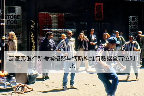 wa-ji-fu-yin-hang-xin-yuan-ai-ge-nu-yu-bo-si-ke-wei-ji-shu-ju-quan-fang-wei-dui-bi-2-840.jpg