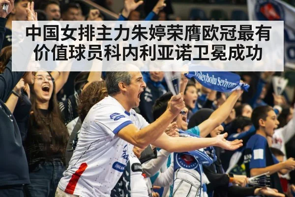 volleyball stadium crowd